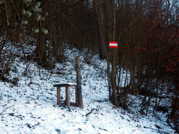 Überstieg Zaun um 660 m