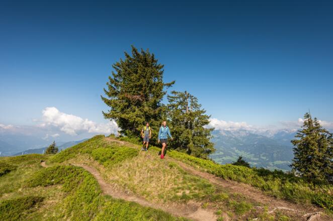 Wandern Hochgründeck