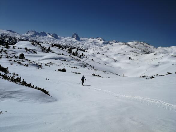 Über die einsame Hochfläche zum Hirzberg / Blick zurück zum Dachstein