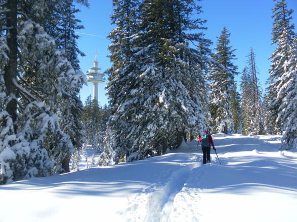Richtfunkturm am Roßbrandrücken