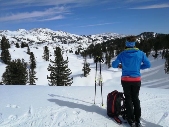Im Lausboden / Blick zum Napfenkogel und Hirzberg