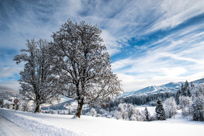 Winterlandschaft am Weg zum Schloss Höch