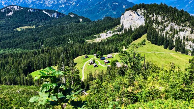 Blick auf die Hütteneckalm