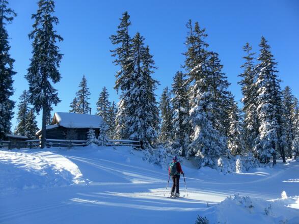 Einmündung in die Höhenloipe