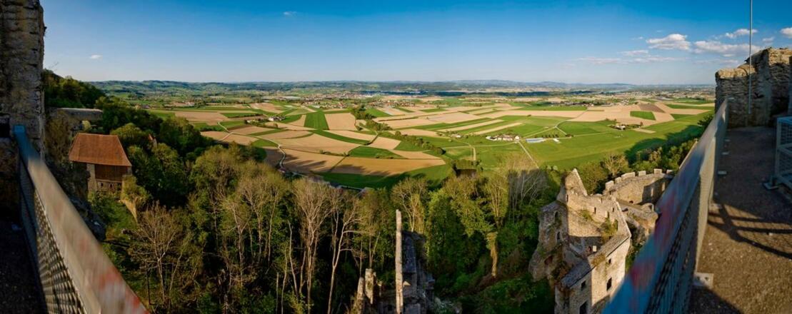 Panoramablick Burgruine Schaunberg