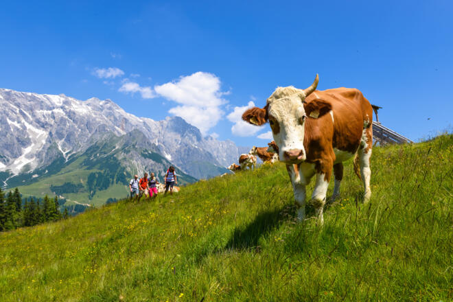 Auf dem Weg zur Bürglalm