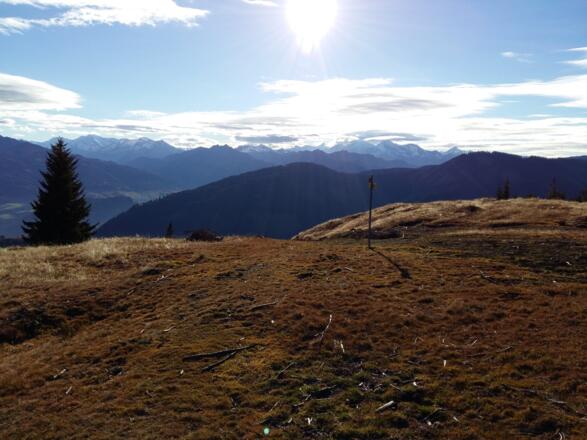 Weg führt über gemütlichen Almboden
