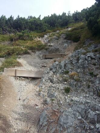 Schotterweg durch das Latschengebiet