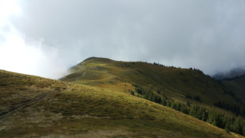 Am Weg zum St. Veiter Schneeberg