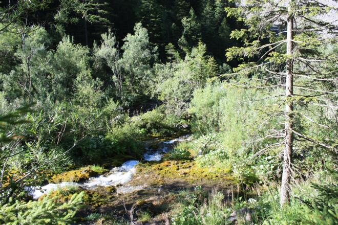 Etappe 23: Alvierbach