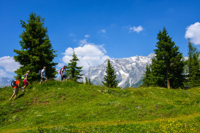 Wastlhöhe - Kollmannsegg