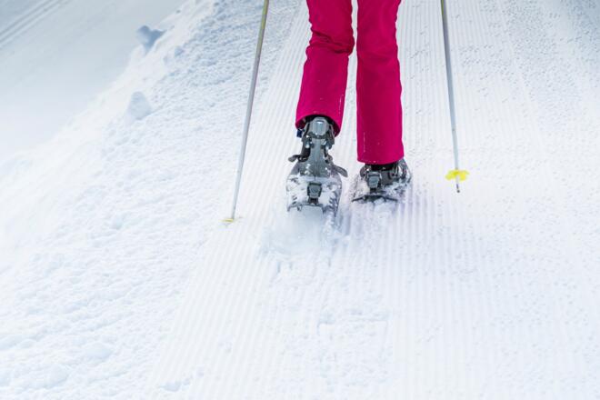 Schneeschuhwandern