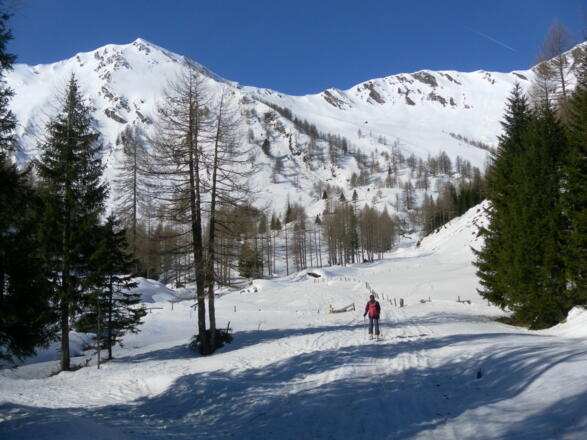 Lechneralm, links Plankowitzspitze, rechts Barleitenkopf