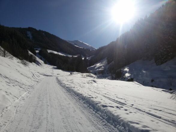 Weg zur Faulbaumgartenalm