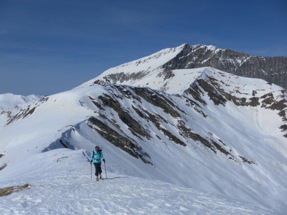 Anstieg zur Plankowitzspitze. Hinter dem Sattel der Barleitenkopf und die Felskarspitze und das Weißeck