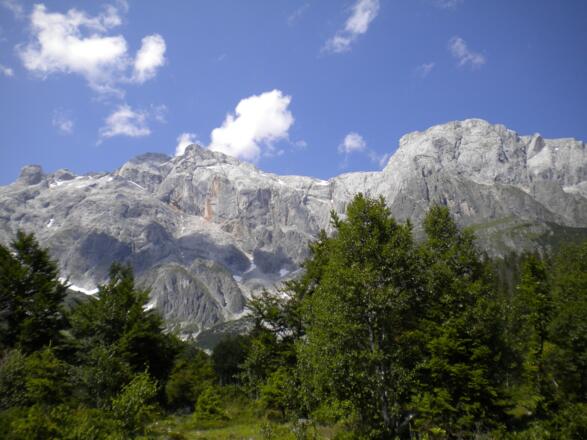Hochkönigpanorama bei der Stegmoosalm
