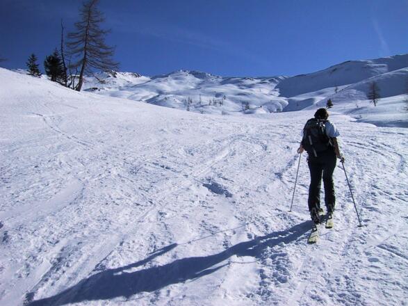 oberhalb der Karteisalm