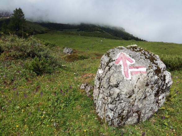 Almwiesenweg nach der Erichhütte in Richtung Taghaube
