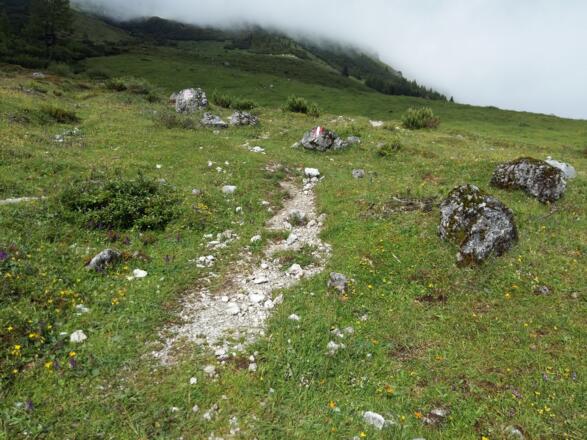 Weg weiter in Richtung Vier Hütten/Stegmoosalm