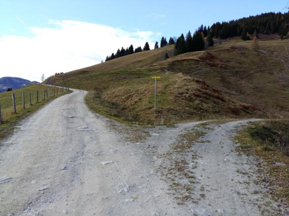 Forststraße gerade aus folgen in Richtung Moosalm (rechts - Klausalm)