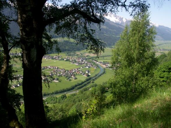 Blick nach Niedernsill