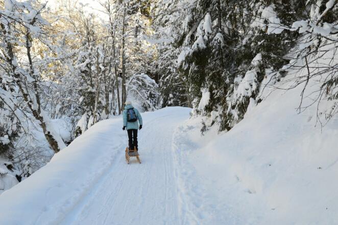 Weg zur Faulbaumgartenalm