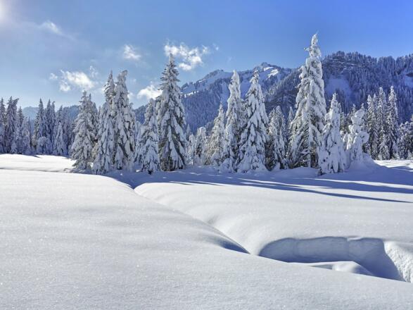 Winterlandschaft in Sibratsgfäll