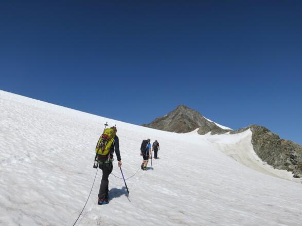 Möglichst lang im Firn, immer direkt auf den Grat zu.