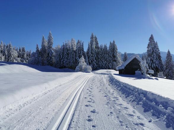 Winterwanderweg von Sibratsgfäll nach Schönenbach
