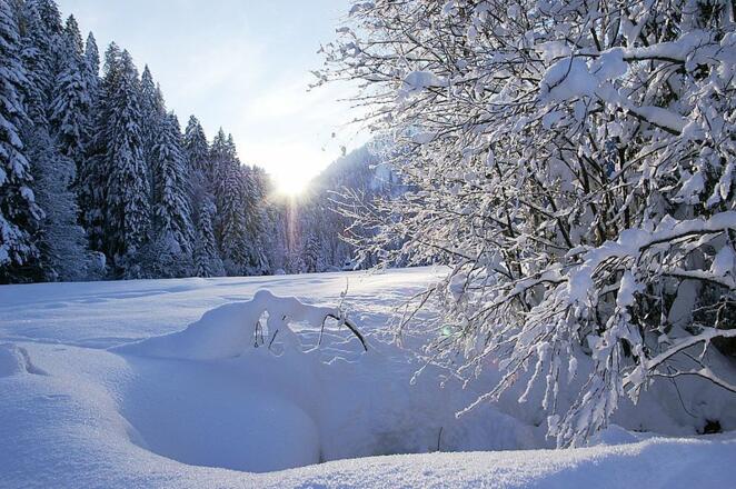 Schönenbach im Winter