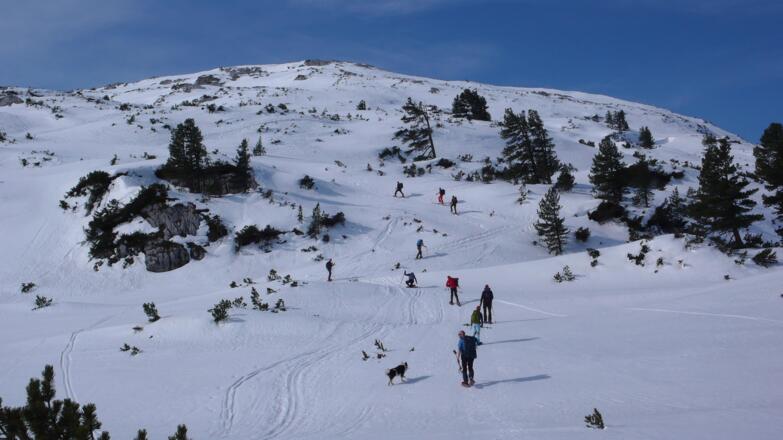 Unterhalb des Niederen Rumplers