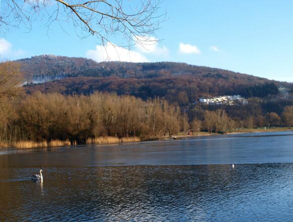 Am Pleschingersee ~260m