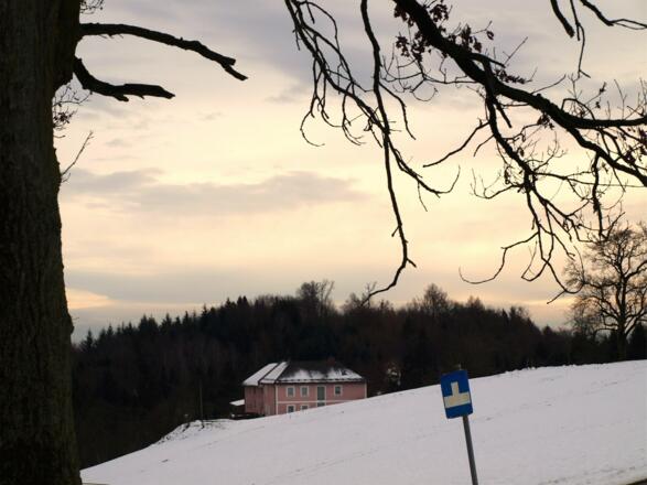 Weg 50 auf 505m wieder erreicht, rechts ab.