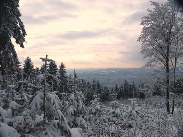 Blick vom Pfenningberg nach Urfahr