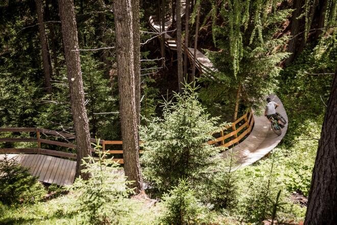 OHN LINE - Holzkonstruktion nach Wallride