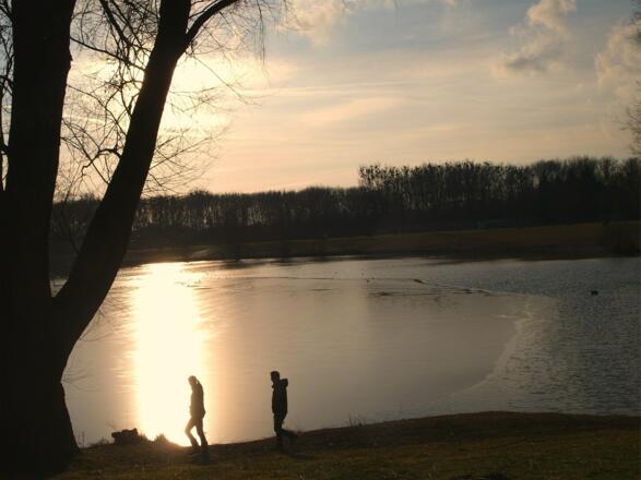 Pleschingersee ~260m