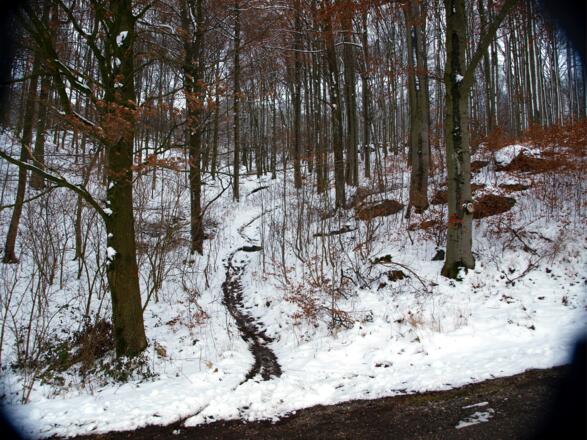 Abzweig des Bergpfades um 455m