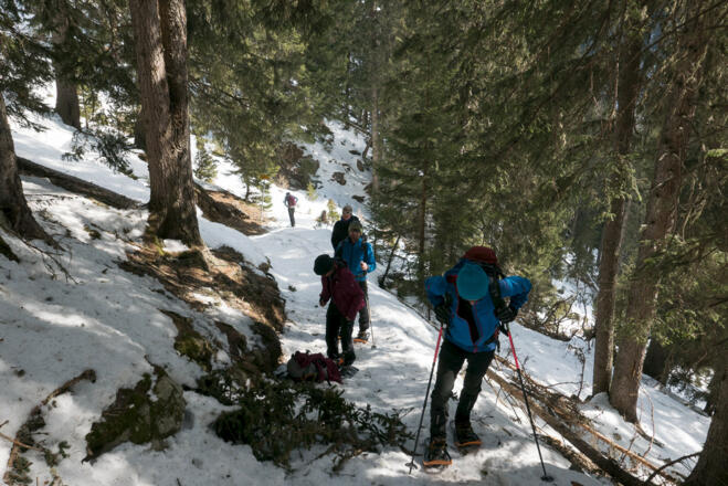 Im Aufstieg zu Boscheben. Sommerweg durch den Wald