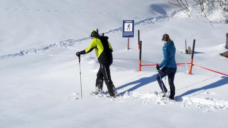 Scheffau_Bruggenmoos Schneeschuhrunde_Wilder Kaiser