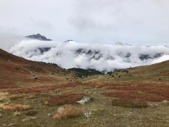 Ausblick vom Egger Joch