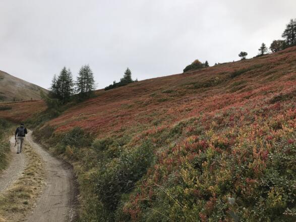 Auf dem Weg zum Egger Joch