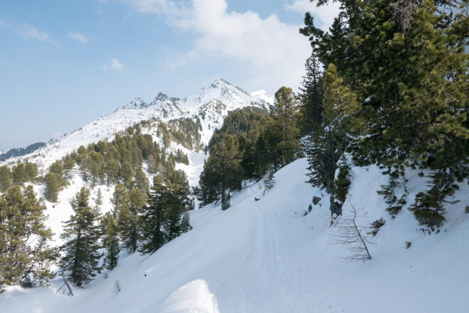 Am Grat in Richtung Viggarspitze