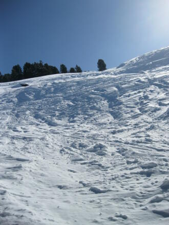 Die freien Wiesen sind erreicht