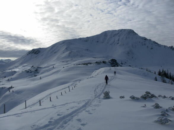 Nordflanke des Brechhorns