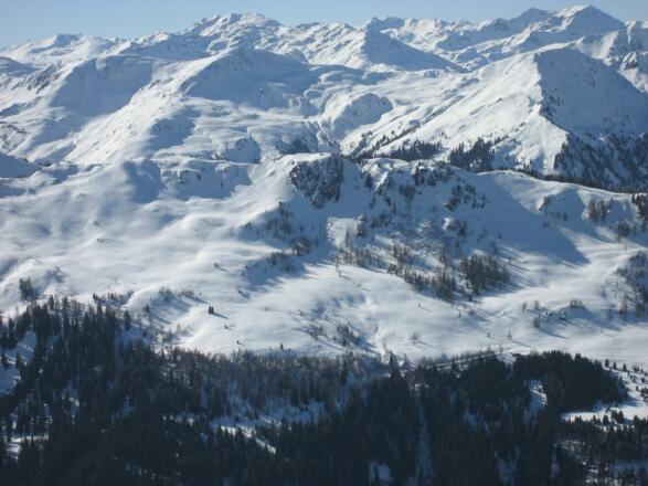 Spießnägel mit höchstem Punkt im lang gezogenen Grat