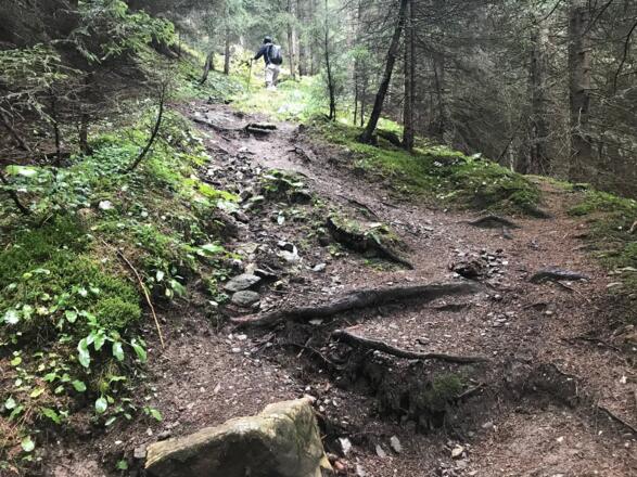Aufstieg zur Trunahütte