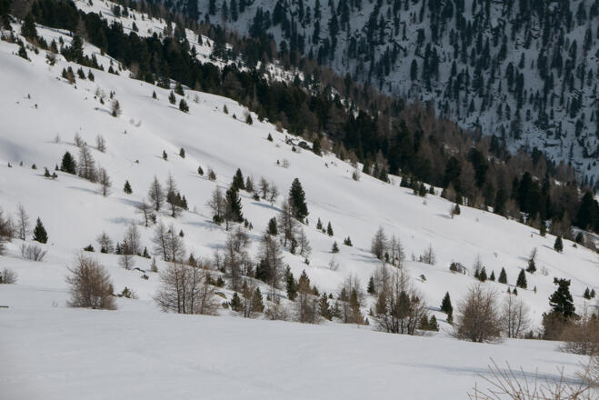 Abstieg durch steile Hänge