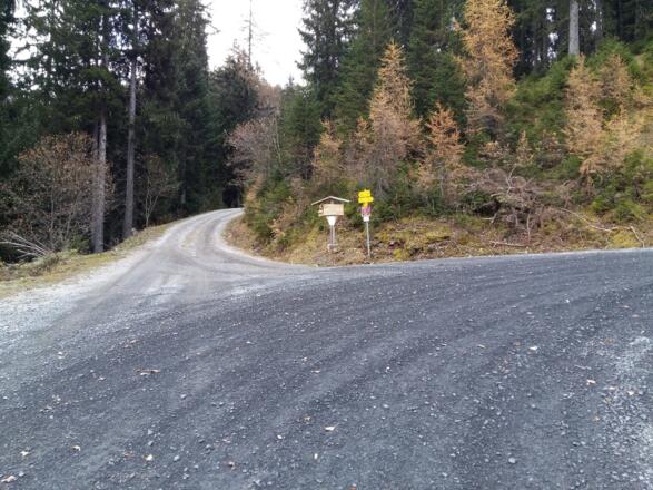 Forststraße zur Zachhofalm gerade aus folgen