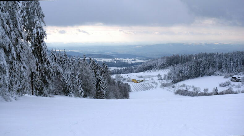 Blick über die lange Gipfelwiese ~860 - 725m
