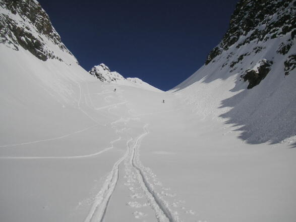 Grüne Tatzen Ferner